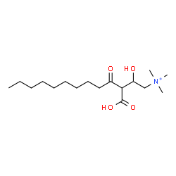 ChemSpider 2D Image | 3-Carboxy-2-hydroxy-N,N,N-trimethyl-4-oxo-1-tridecanaminium | C17H34NO4