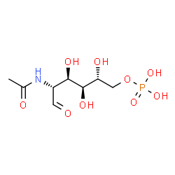 ChemSpider 2D Image | N-Acetylglucosamine 6-phosphate | C8H16NO9P
