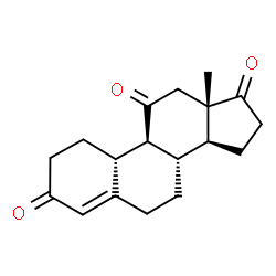 ChemSpider 2D Image | Estr-4-ene-3,11,17-trione | C18H22O3