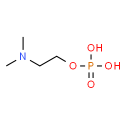 ChemSpider 2D Image | P-DMEA | C4H12NO4P