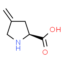ChemSpider 2D Image | 4-Methylene-L-proline | C6H9NO2