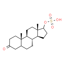 ChemSpider 2D Image | 3-Oxoandrostan-17-yl hydrogen sulfate | C19H30O5S