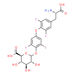ChemSpider 2D Image | Levothyroxine phenolic glucuronide | C21H19I4NO10