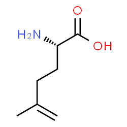 ChemSpider 2D Image | 5-Methylene-L-norleucine | C7H13NO2