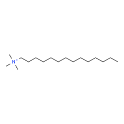 ChemSpider 2D Image | tetradecyltrimethylammonium | C17H38N