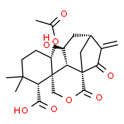 ChemSpider 2D Image | (1S,1'S,2R,6S,6'S,7'S,9'R)-6-Acetoxy-7'-hydroxy-3,3-dimethyl-10'-methylene-2',11'-dioxo-3'-oxaspiro[cyclohexane-1,5'-tricyclo[7.2.1.0~1,6~]dodecane]-2-carboxylic acid | C22H28O8