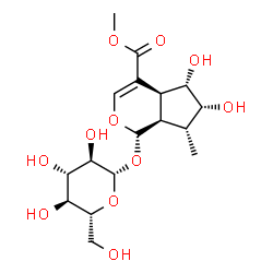 ChemSpider 2D Image | Methyl (1S,4aS,5S,6R,7R,7aR)-1-(beta-D-glucopyranosyloxy)-5,6-dihydroxy-7-methyl-1,4a,5,6,7,7a-hexahydrocyclopenta[c]pyran-4-carboxylate | C17H26O11