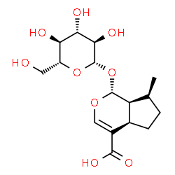 ChemSpider 2D Image | (1R,4aR,7S,7aS)-1-(Î²-D-Glucopyranosyloxy)-1,4a,5,6,7,7a-hexahydro-7-methylcyclopenta[c]pyran-4-carboxylic acid | C16H24O9