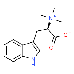 ChemSpider 2D Image | (2R)-3-(1H-Indol-3-yl)-2-(trimethylammonio)propanoate | C14H18N2O2