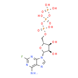 ChemSpider 2D Image | 2-Fluoroadenosine 5'-(tetrahydrogen triphosphate) | C10H15FN5O13P3