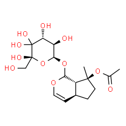 ChemSpider 2D Image | (4aS,7S,7aS)-7-Methyl-1-{[(2S,3R,4R,6R)-3,4,5,5,6-pentahydroxy-6-(hydroxymethyl)tetrahydro-2H-pyran-2-yl]oxy}-1,4a,5,6,7,7a-hexahydrocyclopenta[c]pyran-7-yl acetate | C17H26O11