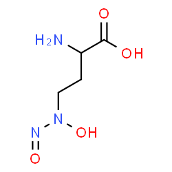 ChemSpider 2D Image | 2-Amino-4-[hydroxy(nitroso)amino]butanoic acid | C4H9N3O4