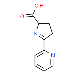 ChemSpider 2D Image | 5-(2-Pyridinyl)-3,4-dihydro-2H-pyrrole-2-carboxylic acid | C10H10N2O2