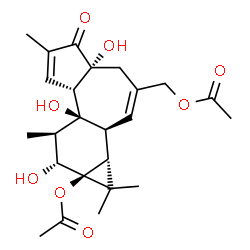 ChemSpider 2D Image | (1aR,1bS,4aR,7aS,7bS,8R,9R,9aS)-3-(Acetoxymethyl)-4a,7b,9-trihydroxy-1,1,6,8-tetramethyl-5-oxo-1,1a,1b,4,4a,5,7a,7b,8,9-decahydro-9aH-cyclopropa[3,4]benzo[1,2-e]azulen-9a-yl acetate | C24H32O8