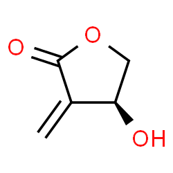 ChemSpider 2D Image | (4S)-4-Hydroxy-3-methylenedihydro-2(3H)-furanone | C5H6O3