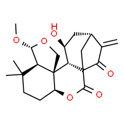 ChemSpider 2D Image | (4S,8R,9R,12S,13S,14S,16R)-14-Hydroxy-9-methoxy-7,7-dimethyl-17-methylene-3,10-dioxapentacyclo[14.2.1.0~1,13~.0~4,12~.0~8,12~]nonadecane-2,18-dione | C21H28O6