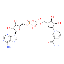 ChemSpider 2D Image | 5'-O-[{[{[(1R,2R,3S,4R)-4-(3-Carbamoyl-1-pyridiniumyl)-2,3-dihydroxycyclopentyl]methoxy}(hydroxy)phosphoryl]oxy}(hydroxy)phosphoryl]adenosine | C22H30N7O13P2