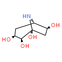 ChemSpider 2D Image | Calystegine B1 | C7H13NO4