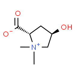 ChemSpider 2D Image | Betonicine | C7H13NO3