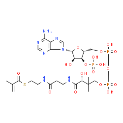 ChemSpider 2D Image | Methacrylyl-CoA | C25H40N7O17P3S