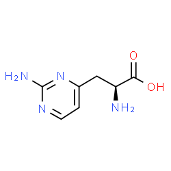 ChemSpider 2D Image | lathyrine | C7H10N4O2