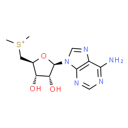 ChemSpider 2D Image | {[(2S,3S,4R,5R)-5-(6-Amino-9H-purin-9-yl)-3,4-dihydroxytetrahydro-2-furanyl]methyl}(dimethyl)sulfonium | C12H18N5O3S