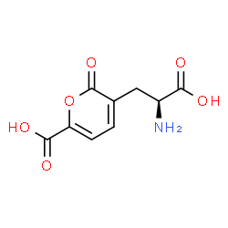 ChemSpider 2D Image | Stizolobinic acid | C9H9NO6