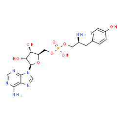 ChemSpider 2D Image | 5'-O-{[(2S)-2-Amino-3-(4-hydroxyphenyl)propoxy](hydroxy)phosphoryl}adenosine | C19H25N6O8P