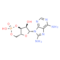 ChemSpider 2D Image | (4aR,6R,7R,7aS)-6-(6,8-Diamino-9H-purin-9-yl)tetrahydro-4H-furo[3,2-d][1,3,2]dioxaphosphinine-2,7-diol 2-oxide | C10H13N6O6P