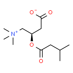 ChemSpider 2D Image | iC5-Carnitine | C12H23NO4