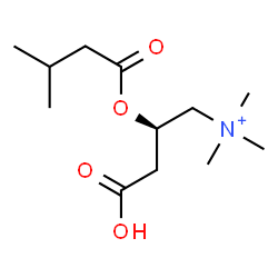 ChemSpider 2D Image | (2R)-3-Carboxy-N,N,N-trimethyl-2-[(3-methylbutanoyl)oxy]-1-propanaminium | C12H24NO4