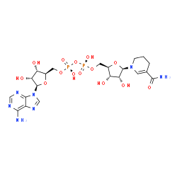 ChemSpider 2D Image | [[(2R,3S,4R,5R)-5-(6-aminopurin-9-yl)-3,4-dihydroxy-tetrahydrofuran-2-yl]methoxy-hydroxy-phosphoryl] [(2R,3S,4R,5R)-5-(5-carbamoyl-3,4-dihydro-2H-pyridin-1-yl)-3,4-dihydroxy-tetrahydrofuran-2-yl]methyl hydrogen phosphate | C21H31N7O14P2