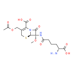 ChemSpider 2D Image | (6R,7S)-3-(Acetoxymethyl)-7-{[(5R)-5-amino-5-carboxypentanoyl]amino}-7-methoxy-8-oxo-5-thia-1-azabicyclo[4.2.0]oct-2-ene-2-carboxylic acid | C17H23N3O9S