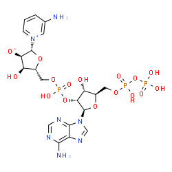 ChemSpider 2D Image | (2R,3R,4R,5R)-5-({[{[(2R,3R,4R,5R)-2-(6-Amino-9H-purin-9-yl)-4-hydroxy-5-({[hydroxy(phosphonooxy)phosphoryl]oxy}methyl)tetrahydro-3-furanyl]oxy}(hydroxy)phosphoryl]oxy}methyl)-2-(3-amino-1-pyridiniumy
l)-4-hydroxytetrahydro-3-furanolate | C20H28N7O16P3