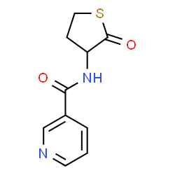 ChemSpider 2D Image | N-(2-Oxotetrahydro-3-thiophenyl)nicotinamide | C10H10N2O2S
