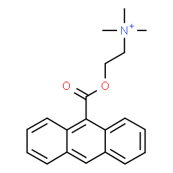 ChemSpider 2D Image | 2-[(9-Anthrylcarbonyl)oxy]-N,N,N-trimethylethanaminium | C20H22NO2