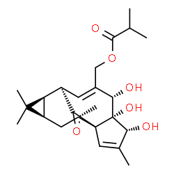 ChemSpider 2D Image | [(4R,5S,6S,9R,10R,12R,14S)-4,5,6-Trihydroxy-3,11,11,14-tetramethyl-15-oxotetracyclo[7.5.1.0~1,5~.0~10,12~]pentadeca-2,7-dien-7-yl]methyl 2-methylpropanoate | C24H34O6