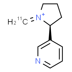 ChemSpider 2D Image | (2S)-1-(~11~C)Methylene-2-(3-pyridinyl)pyrrolidinium | C911CH13N2