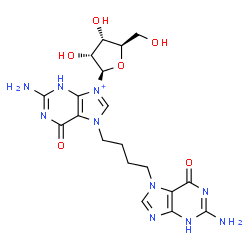 ChemSpider 2D Image | 7-[4-(2-Amino-6-oxo-3,6-dihydro-7H-purin-7-yl)butyl]-7-hydroguanosine | C19H25N10O6