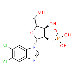 ChemSpider 2D Image | 5,6-Dichloro-1-(2-O-phosphono-beta-D-ribofuranosyl)-1H-benzimidazole | C12H13Cl2N2O7P