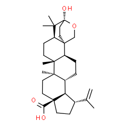 ChemSpider 2D Image | Lantabetulic acid | C30H46O4