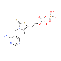 ChemSpider 2D Image | 2-{3-[(4-Amino-2-methyl-5-pyrimidinyl)methyl]-4-methyl-2-thioxo-2,3-dihydro-1,3-thiazol-5-yl}ethyl trihydrogen diphosphate | C12H18N4O7P2S2