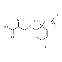 ChemSpider 2D Image | S-[2-(Carboxymethyl)-2,5-dihydroxy-3-cyclohexen-1-yl]cysteine | C11H17NO6S