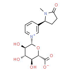 ChemSpider 2D Image | 1-(beta-D-Glucopyranosyluronosyl)-3-[(2S)-1-methyl-5-oxo-2-pyrrolidinyl]pyridinium | C16H20N2O7