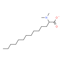 ChemSpider 2D Image | 2-(Dimethylamino)tetradecanoate | C16H32NO2