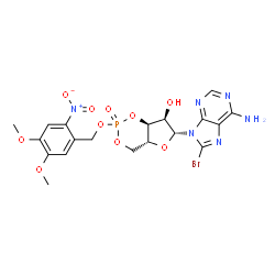 ChemSpider 2D Image | (4aR,6R,7R,7aS)-6-(6-Amino-8-bromo-9H-purin-9-yl)-2-[(4,5-dimethoxy-2-nitrobenzyl)oxy]tetrahydro-4H-furo[3,2-d][1,3,2]dioxaphosphinin-7-ol 2-oxide | C19H20BrN6O10P