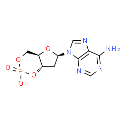 ChemSpider 2D Image | 3',5'-Cyclic dAMP | C10H12N5O5P