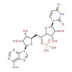 ChemSpider 2D Image | (1R)-2-[(2R,3S,4R,5R)-5-(6-Amino-9H-purin-9-yl)-3,4-dihydroxytetrahydro-2-furanyl]-1-[(3S,4R,5R)-5-(2,4-dioxo-3,4-dihydro-1(2H)-pyrimidinyl)-3,4-dihydroxytetrahydro-2-furanyl]ethyl dihydrogen phosphat
e | C19H24N7O12P