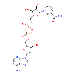 ChemSpider 2D Image | (2R,3R,4R,5R)-5-({[{[{[(2R,3S,5R)-5-(6-Amino-9H-purin-9-yl)-3-hydroxytetrahydro-2-furanyl]methoxy}(hydroxy)phosphoryl]oxy}(hydroxy)phosphoryl]oxy}methyl)-2-(3-carbamoyl-1-pyridiniumyl)-4-hydroxytetrah
ydro-3-furanolate | C21H27N7O13P2