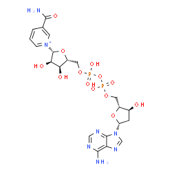 ChemSpider 2D Image | [[(2R,3S,5R)-5-(6-aminopurin-9-yl)-3-hydroxy-tetrahydrofuran-2-yl]methoxy-hydroxy-phosphoryl] [(2R,3S,4R,5R)-5-(3-carbamoylpyridin-1-ium-1-yl)-3,4-dihydroxy-tetrahydrofuran-2-yl]methyl hydrogen phosphate | C21H28N7O13P2